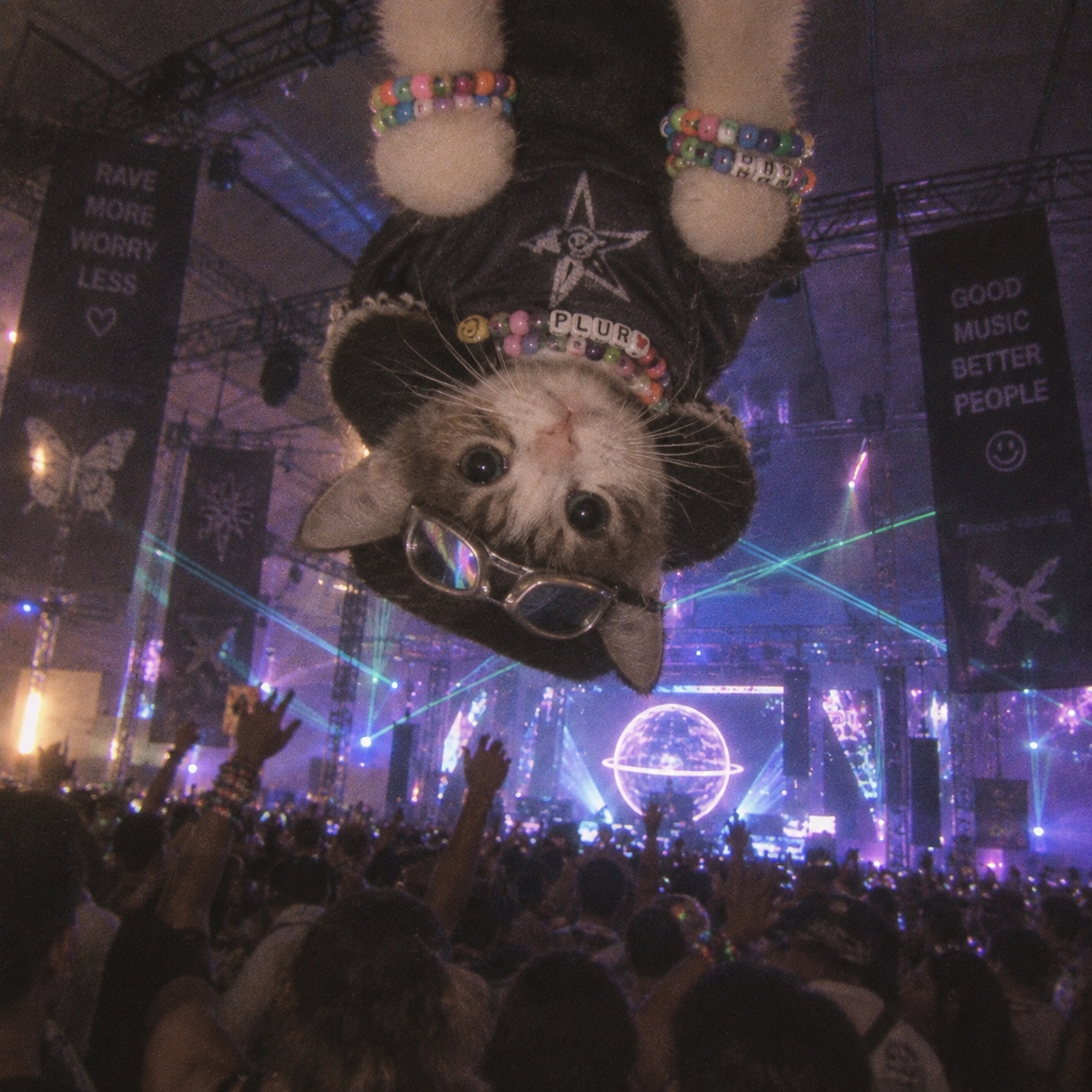 Upside Down Cat at a concert
